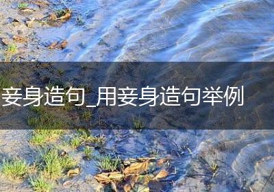 妾身造句_用妾身造句举例