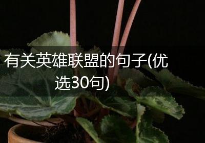 有关英雄联盟的句子(优选30句)