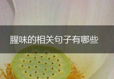 腥味的相关句子有哪些