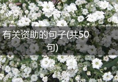 有关资助的句子(共50句)