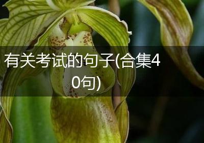 有关考试的句子(合集40句)