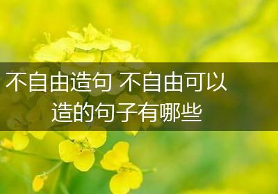 不自由造句 不自由可以造的句子有哪些