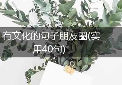 有文化的句子朋友圈(实用40句)