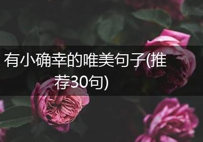 有小确幸的唯美句子(推荐30句)