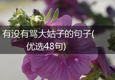 有没有骂大姑子的句子(优选48句)
