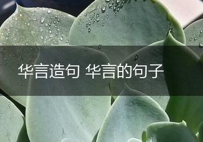 华言造句 华言的句子