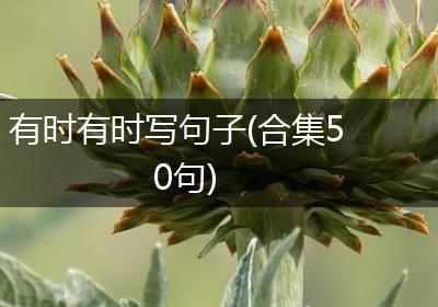 有时有时写句子(合集50句)