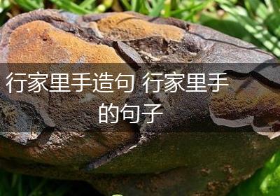 行家里手造句 行家里手的句子