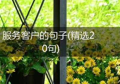 服务客户的句子(精选20句)