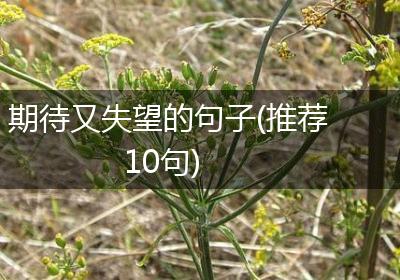 期待又失望的句子(推荐10句)