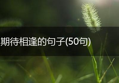 期待相逢的句子(50句)