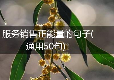 服务销售正能量的句子(通用50句)