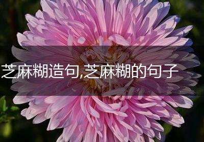 芝麻糊造句,芝麻糊的句子