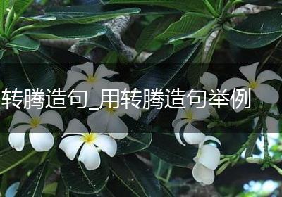 转腾造句_用转腾造句举例
