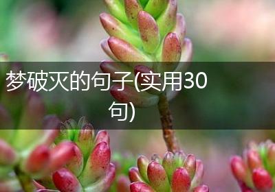 梦破灭的句子(实用30句)