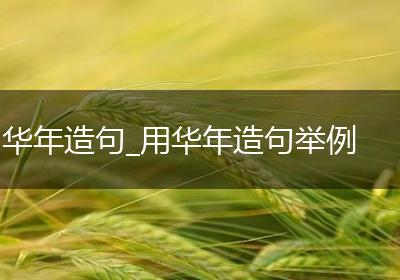 华年造句_用华年造句举例