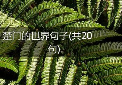 楚门的世界句子(共20句)