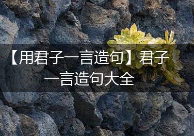 【用君子一言造句】君子一言造句大全