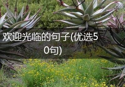 欢迎光临的句子(优选50句)