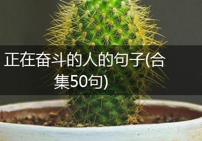 正在奋斗的人的句子(合集50句)