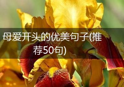 母爱开头的优美句子(推荐50句)