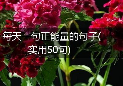 每天一句正能量的句子(实用50句)