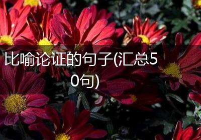 比喻论证的句子(汇总50句)
