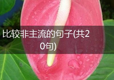 比较非主流的句子(共20句)