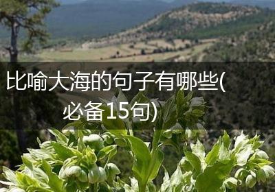 比喻大海的句子有哪些(必备15句)