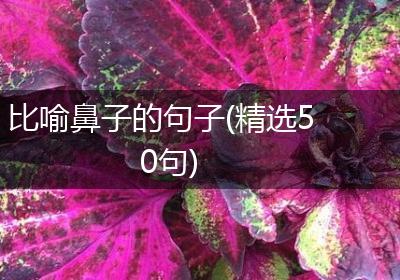 比喻鼻子的句子(精选50句)