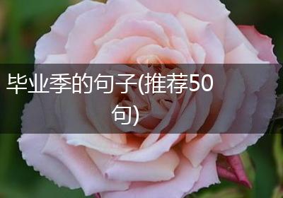 毕业季的句子(推荐50句)