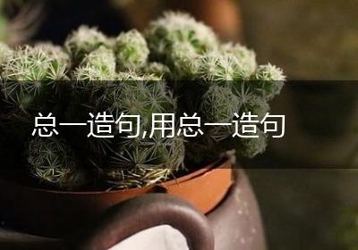 总一造句,用总一造句