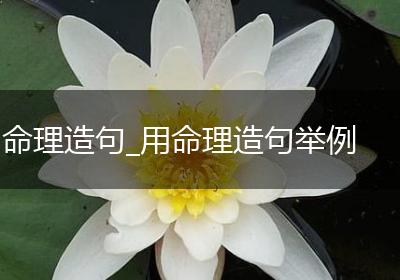 命理造句_用命理造句举例