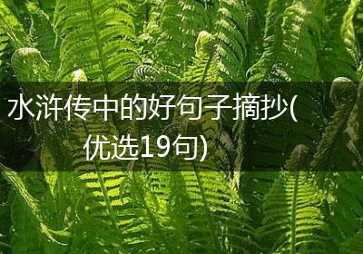 水浒传中的好句子摘抄(优选19句)