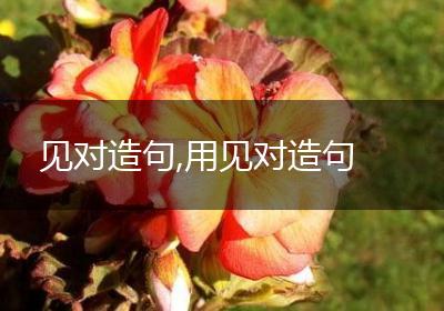 见对造句,用见对造句