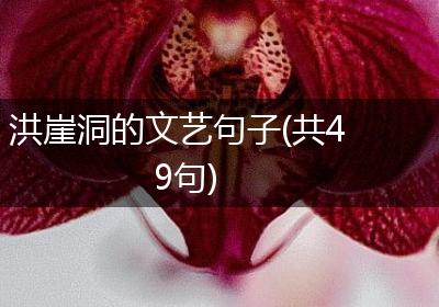 洪崖洞的文艺句子(共49句)