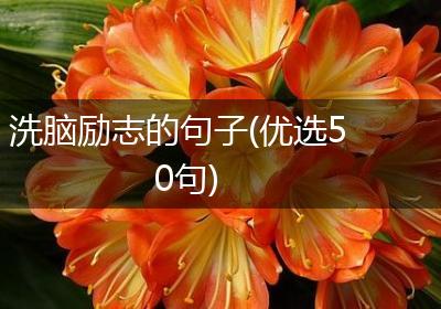 洗脑励志的句子(优选50句)