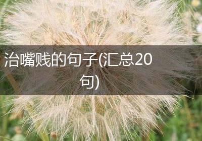 治嘴贱的句子(汇总20句)