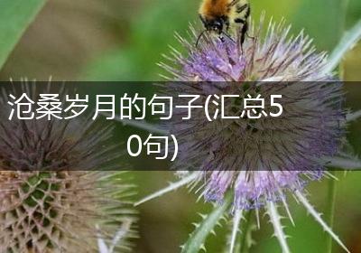 沧桑岁月的句子(汇总50句)
