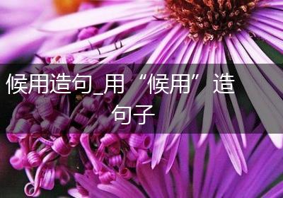 候用造句_用“候用”造句子