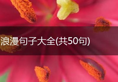 浪漫句子大全(共50句)