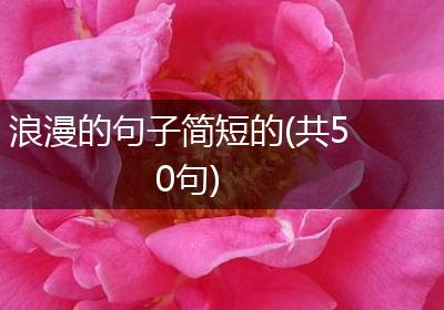 浪漫的句子简短的(共50句)