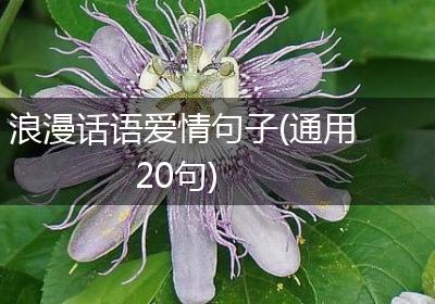 浪漫话语爱情句子(通用20句)