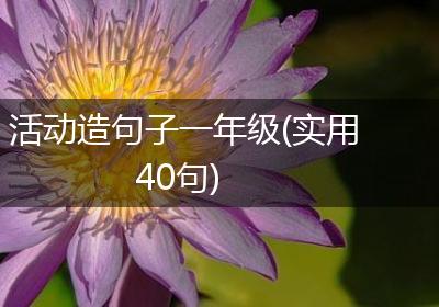 活动造句子一年级(实用40句)