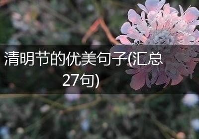 清明节的优美句子(汇总27句)