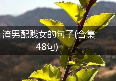 渣男配贱女的句子(合集48句)