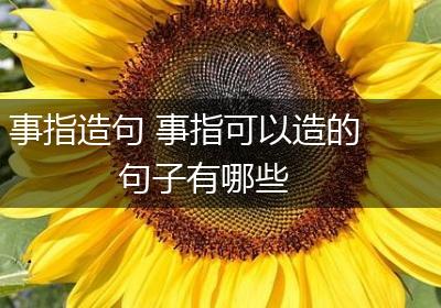 事指造句 事指可以造的句子有哪些