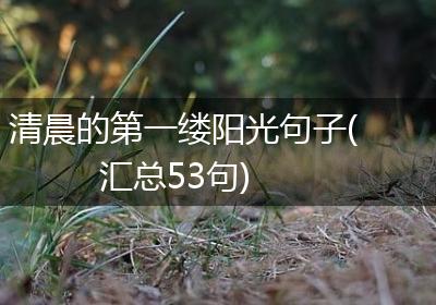 清晨的第一缕阳光句子(汇总53句)