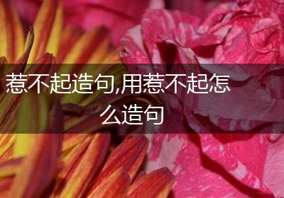 惹不起造句,用惹不起怎么造句