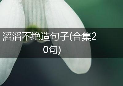 滔滔不绝造句子(合集20句)